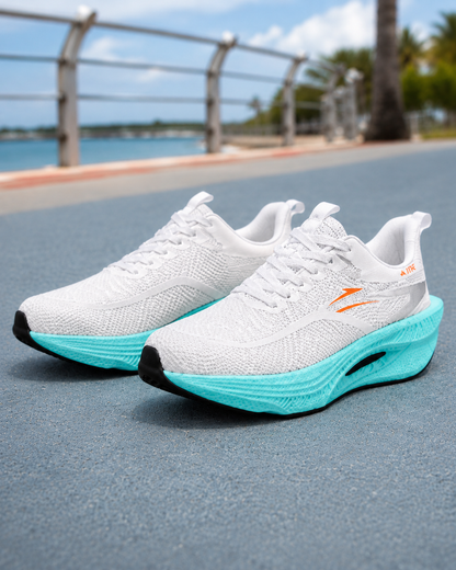 Ariel Zapatillas