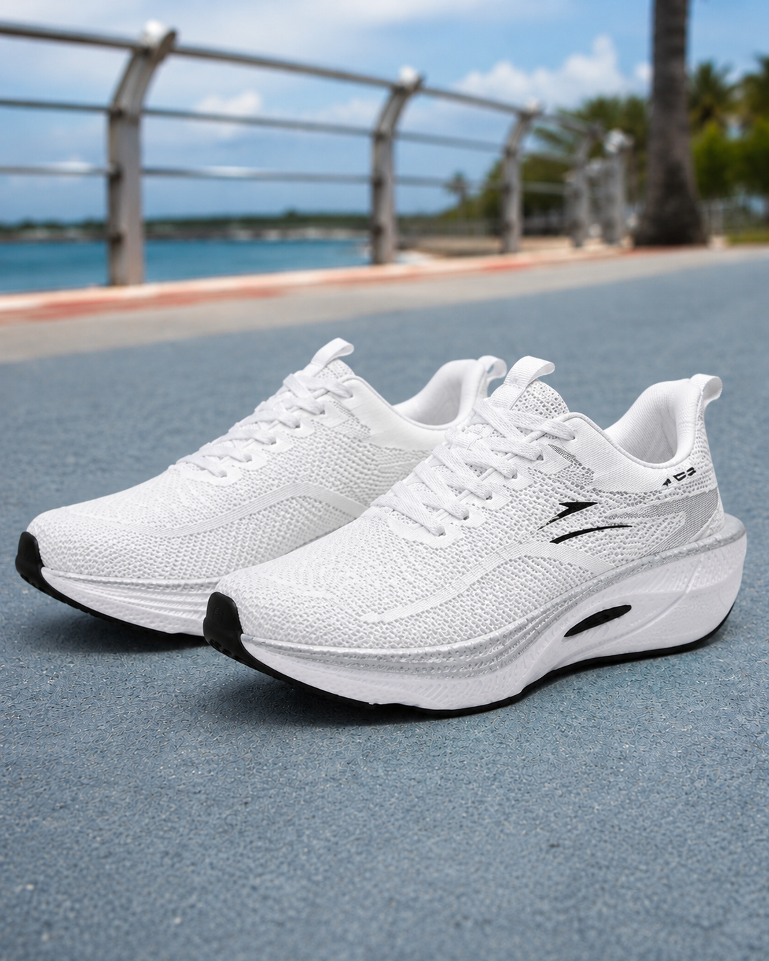 Ariel Zapatillas