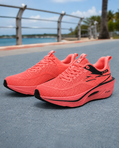 Ariel Zapatillas