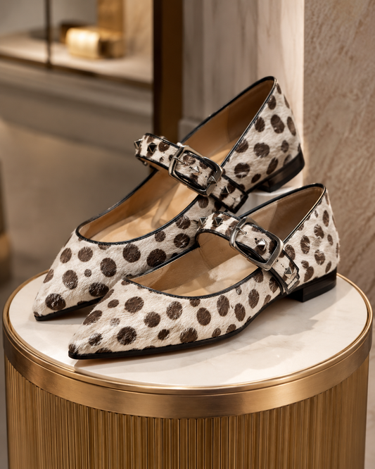 Bailarinas Zapatos