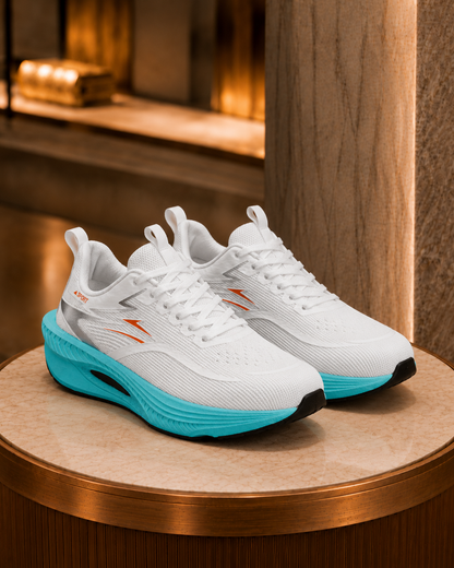 Ariel Zapatillas